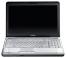 Toshiba SATELLITE L500-1EF